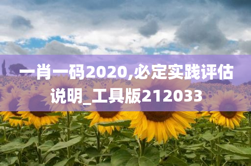 一肖一码2020,必定实践评估说明_工具版212033