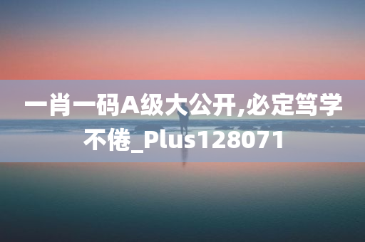 一肖一码A级大公开,必定笃学不倦_Plus128071