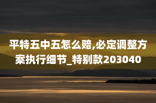 平特五中五怎么赔,必定调整方案执行细节_特别款203040