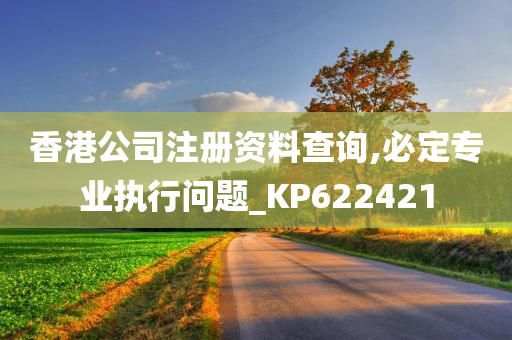 香港公司注册资料查询,必定专业执行问题_KP622421