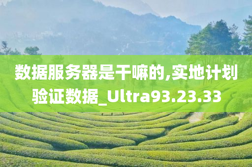 数据服务器是干嘛的,实地计划验证数据_Ultra93.23.33