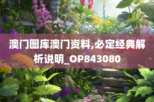 澳门图库澳门资料,必定经典解析说明_OP843080