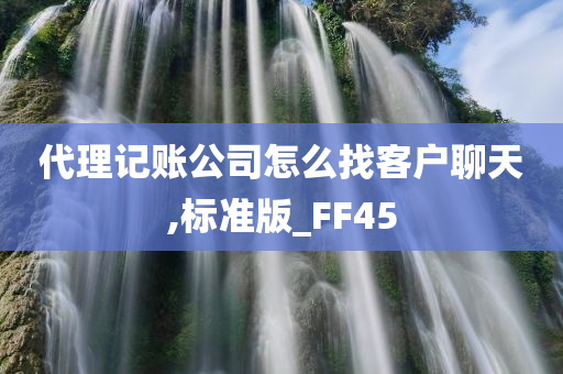 代理记账公司怎么找客户聊天,标准版_FF45