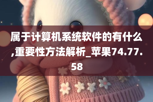 属于计算机系统软件的有什么,重要性方法解析_苹果74.77.58