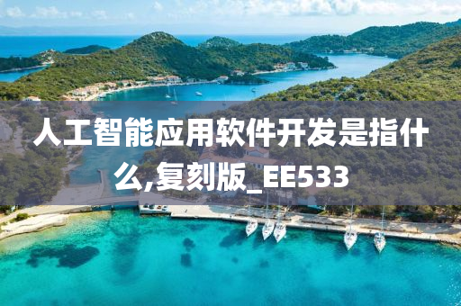 人工智能应用软件开发是指什么,复刻版_EE533