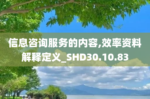 信息咨询服务的内容,效率资料解释定义_SHD30.10.83