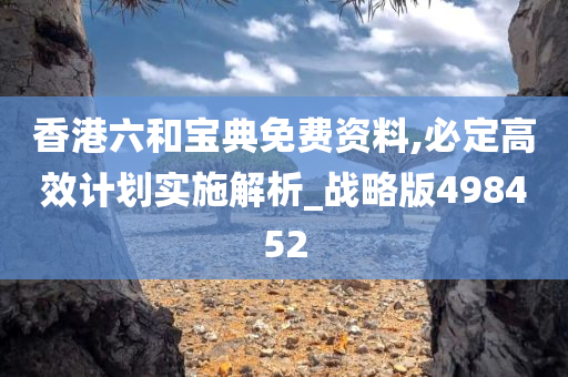 香港六和宝典免费资料,必定高效计划实施解析_战略版498452