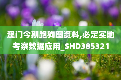 澳门今期跑狗图资料,必定实地考察数据应用_SHD385321