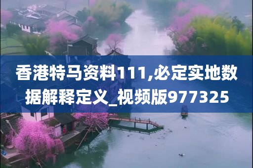 香港特马资料111,必定实地数据解释定义_视频版977325