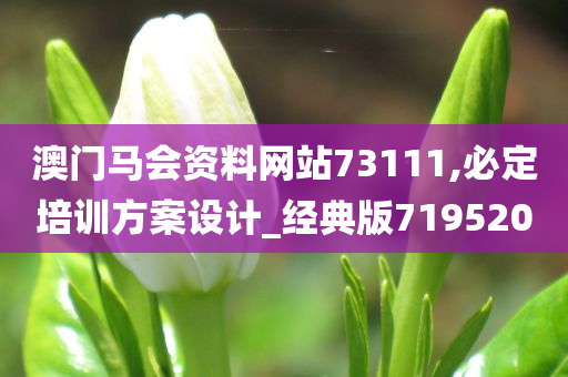 澳门马会资料网站73111,必定培训方案设计_经典版719520