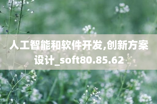 人工智能和软件开发,创新方案设计_soft80.85.62