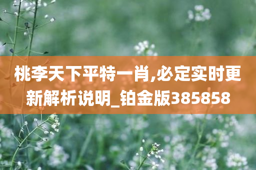 桃李天下平特一肖,必定实时更新解析说明_铂金版385858