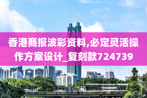 香港商报波彩资料,必定灵活操作方案设计_复刻款724739