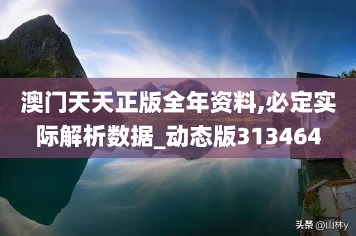 澳门天天正版全年资料,必定实际解析数据_动态版313464