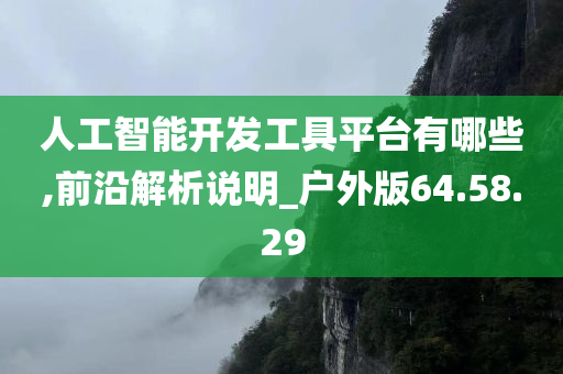 人工智能开发工具平台有哪些,前沿解析说明_户外版64.58.29