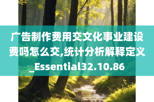 广告制作费用交文化事业建设费吗怎么交,统计分析解释定义_Essential32.10.86