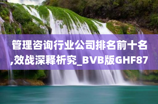 管理咨询行业公司排名前十名,效战深释析究_BVB版GHF87