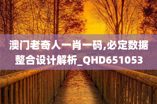 澳门老奇人一肖一码,必定数据整合设计解析_QHD651053