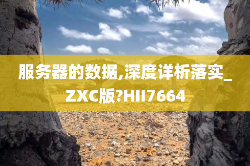 服务器的数据,深度详析落实_ZXC版?HII7664