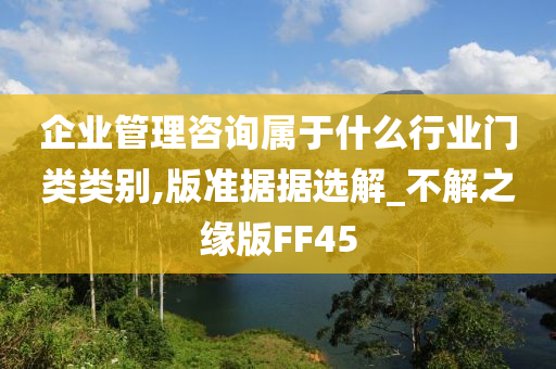 企业管理咨询属于什么行业门类类别,版准据据选解_不解之缘版FF45