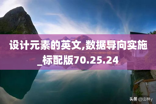 设计元素的英文,数据导向实施_标配版70.25.24