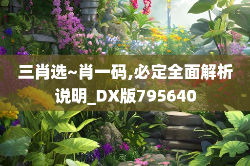 三肖选~肖一码,必定全面解析说明_DX版795640