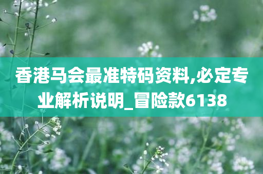 香港马会最准特码资料,必定专业解析说明_冒险款6138