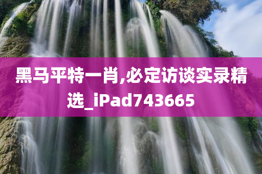 黑马平特一肖,必定访谈实录精选_iPad743665