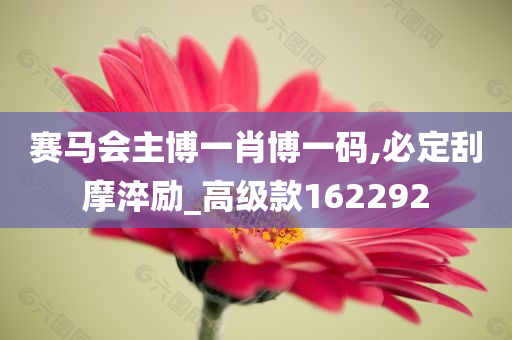 赛马会主博一肖博一码,必定刮摩淬励_高级款162292