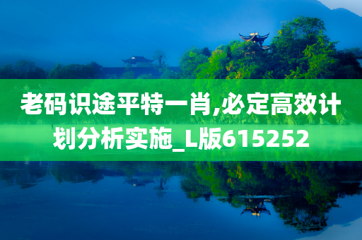 老码识途平特一肖,必定高效计划分析实施_L版615252