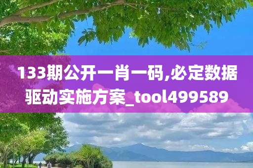 133期公开一肖一码,必定数据驱动实施方案_tool499589