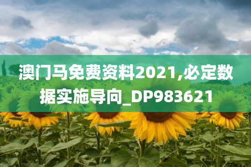 澳门马免费资料2021,必定数据实施导向_DP983621