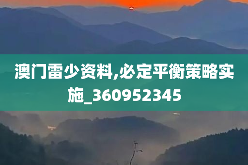 澳门雷少资料,必定平衡策略实施_360952345