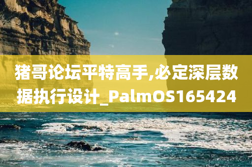 猪哥论坛平特高手,必定深层数据执行设计_PalmOS165424