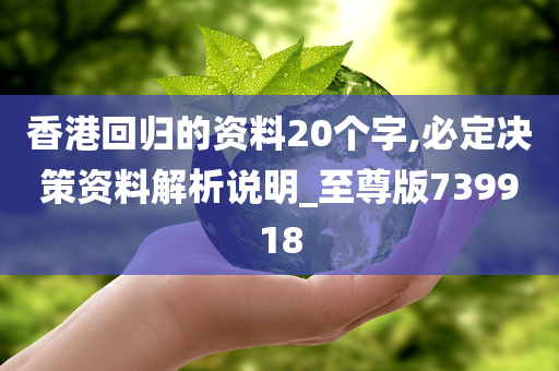 香港回归的资料20个字,必定决策资料解析说明_至尊版739918