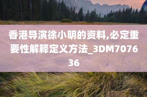 香港导演徐小明的资料,必定重要性解释定义方法_3DM707636