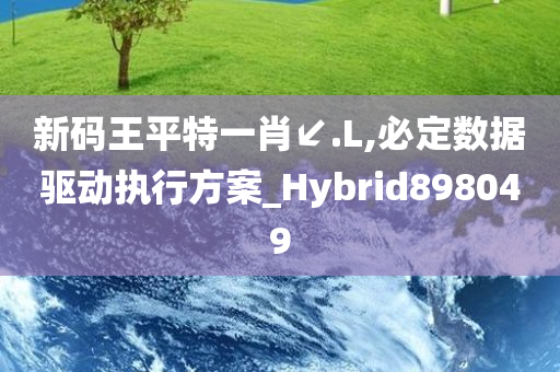 新码王平特一肖↙.L,必定数据驱动执行方案_Hybrid898049