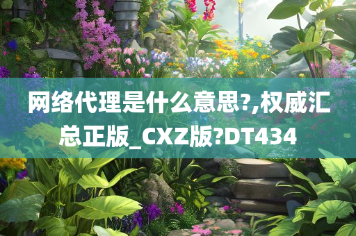 网络代理是什么意思?,权威汇总正版_CXZ版?DT434