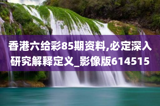 香港六给彩85期资料,必定深入研究解释定义_影像版614515