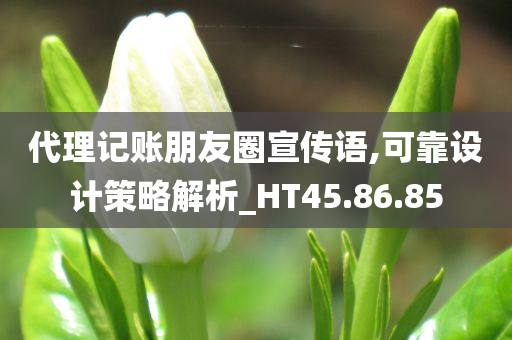 代理记账朋友圈宣传语,可靠设计策略解析_HT45.86.85