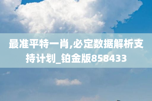 最准平特一肖,必定数据解析支持计划_铂金版858433