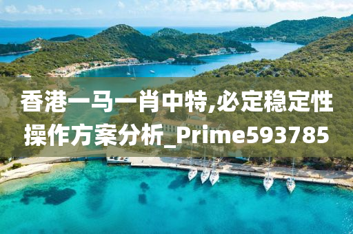 香港一马一肖中特,必定稳定性操作方案分析_Prime593785