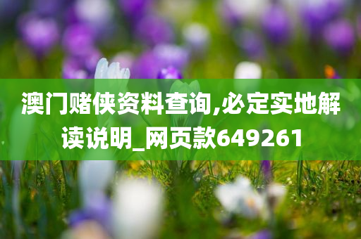 澳门赌侠资料查询,必定实地解读说明_网页款649261