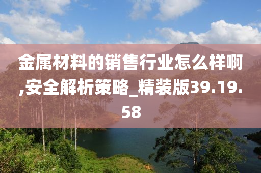 金属材料的销售行业怎么样啊,安全解析策略_精装版39.19.58