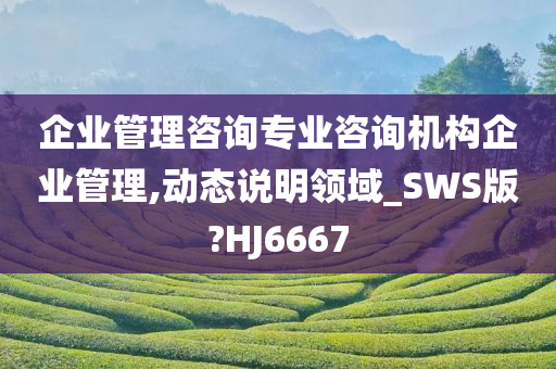 企业管理咨询专业咨询机构企业管理,动态说明领域_SWS版?HJ6667