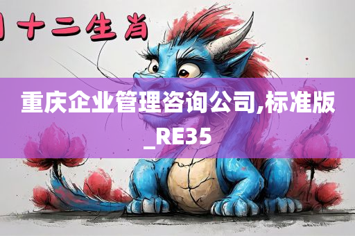 重庆企业管理咨询公司,标准版_RE35