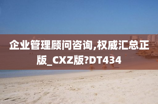 企业管理顾问咨询,权威汇总正版_CXZ版?DT434