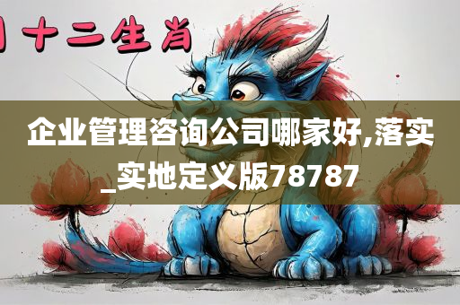 企业管理咨询公司哪家好,落实_实地定义版78787