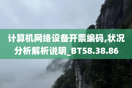 计算机网络设备开票编码,状况分析解析说明_BT58.38.86