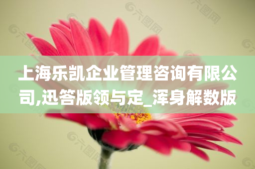 上海乐凯企业管理咨询有限公司,迅答版领与定_浑身解数版